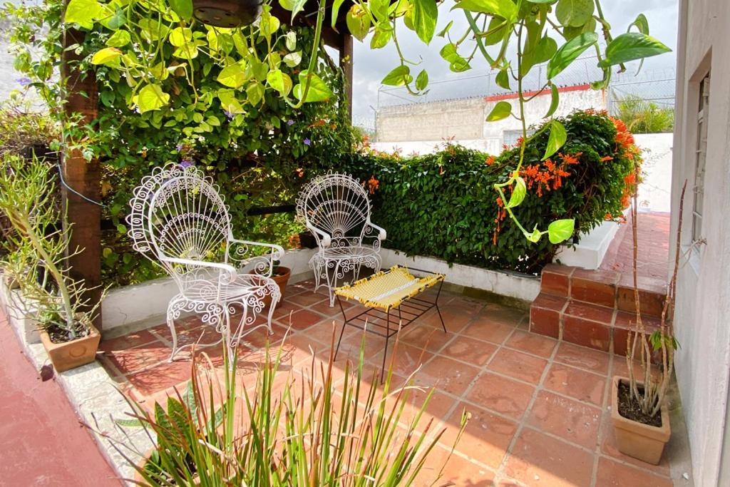 Casa Canario Hostel Guadalajara Eksteriør bilde