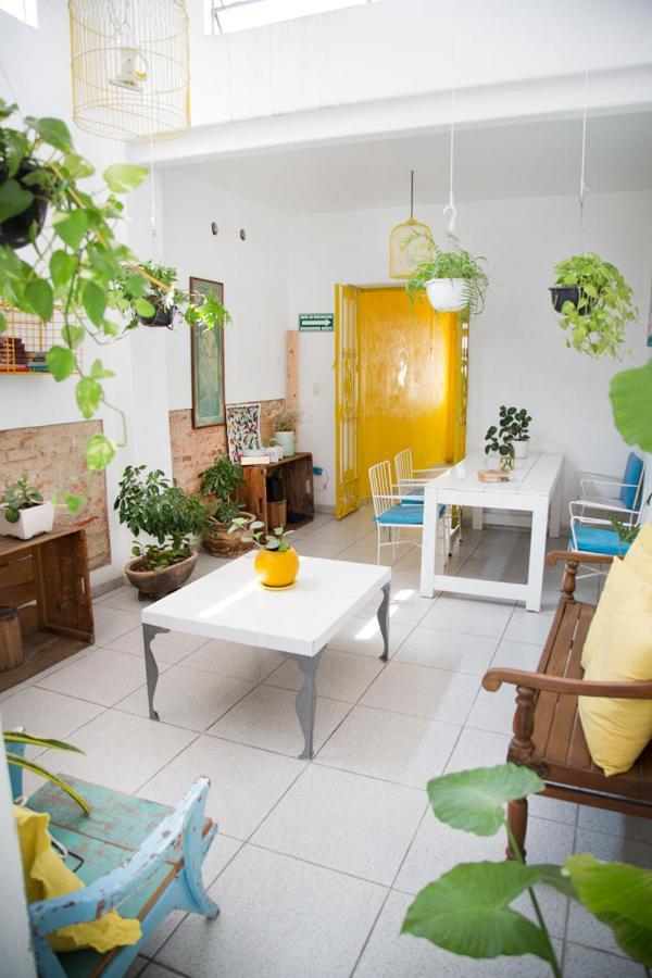 Casa Canario Hostel Guadalajara Eksteriør bilde