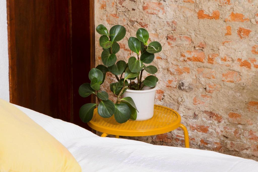 Casa Canario Hostel Guadalajara Eksteriør bilde
