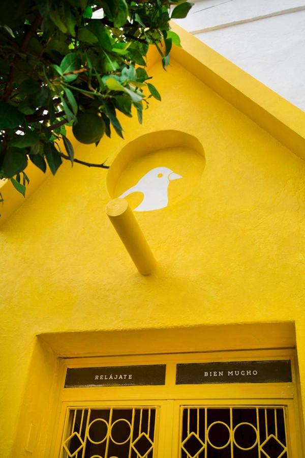 Casa Canario Hostel Guadalajara Eksteriør bilde