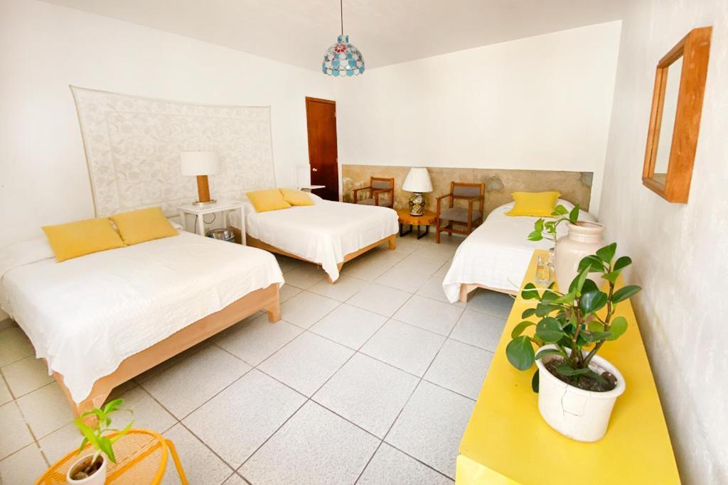 Casa Canario Hostel Guadalajara Eksteriør bilde