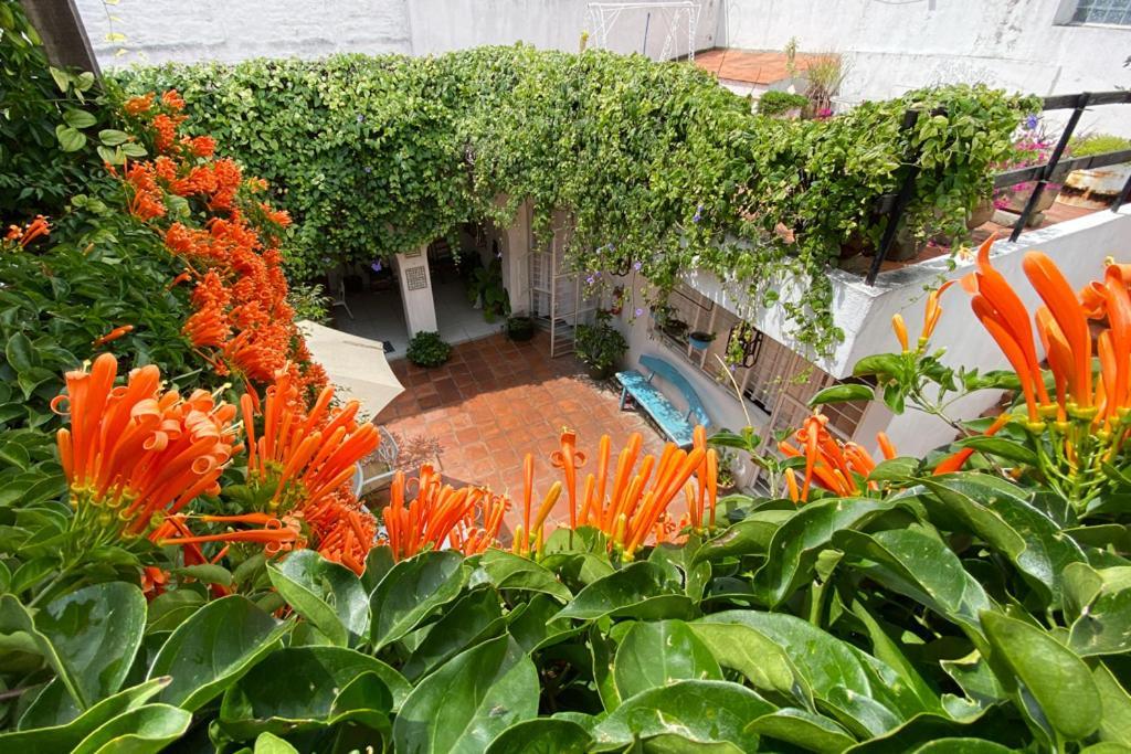Casa Canario Hostel Guadalajara Eksteriør bilde