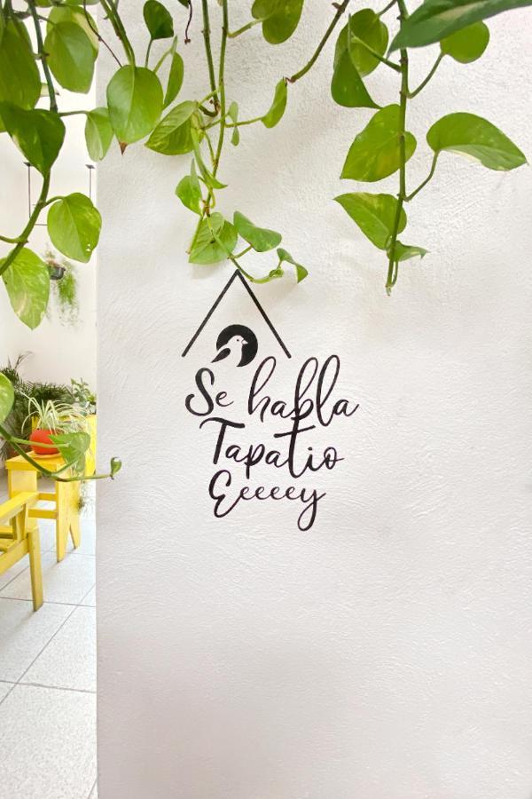 Casa Canario Hostel Guadalajara Eksteriør bilde